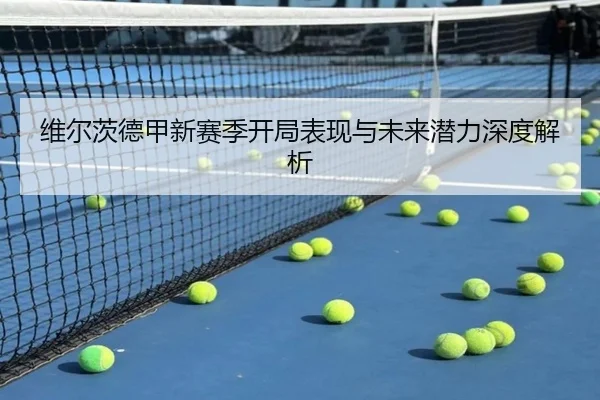 维尔茨德甲新赛季开局表现与未来潜力深度解析